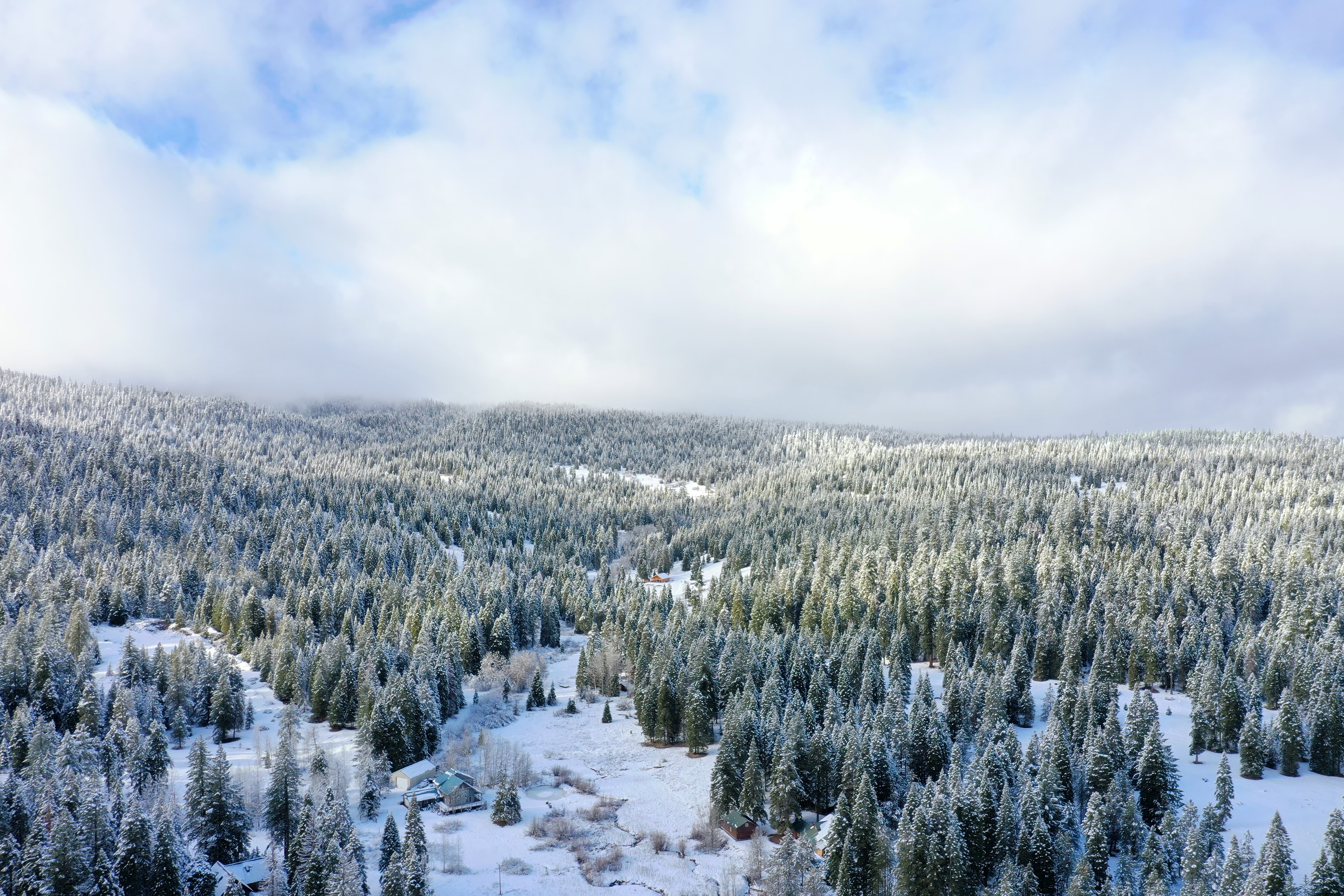 DJI_0559.JPG