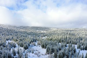 DJI_0559.JPG