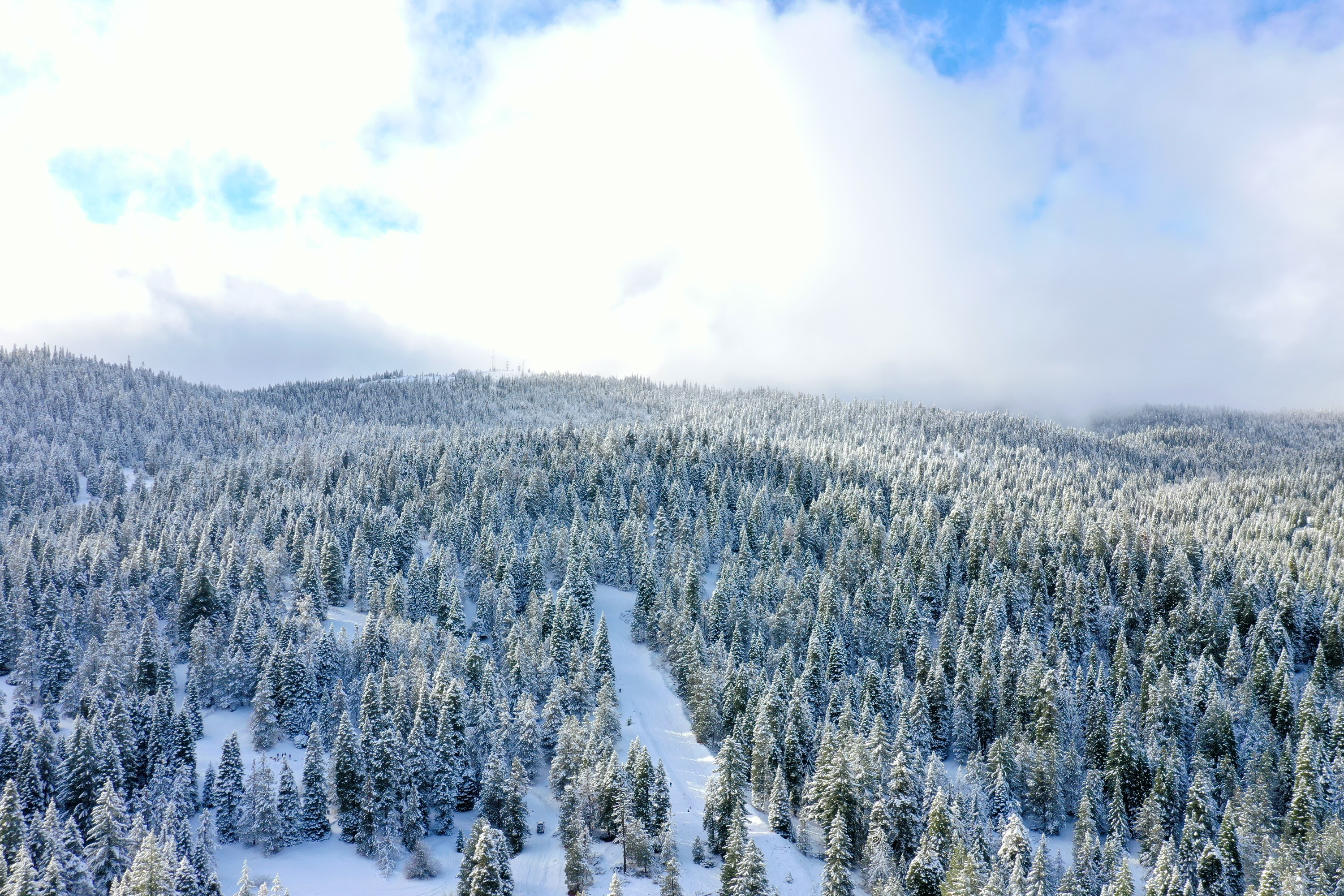 DJI_0561.JPG