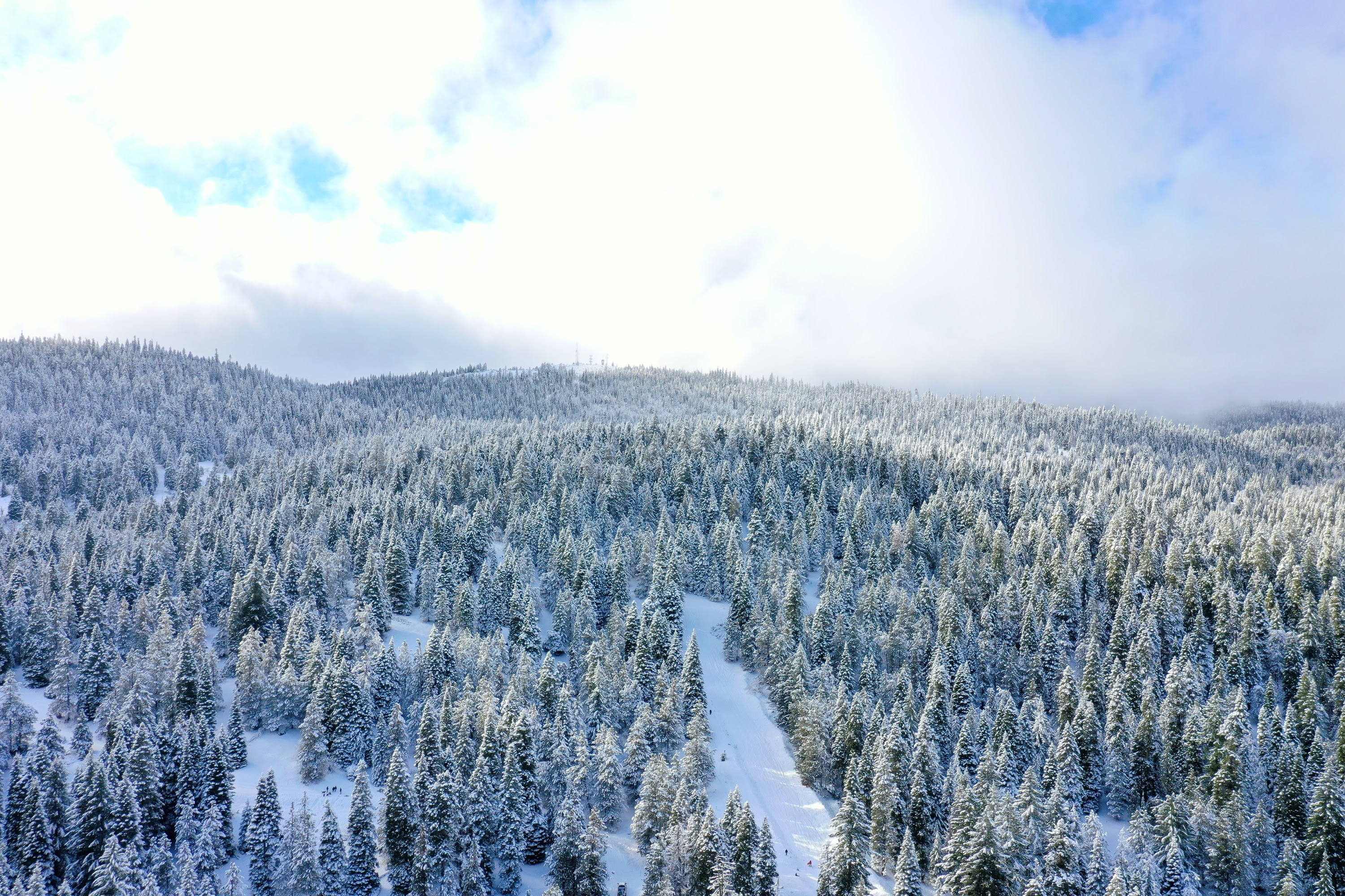 DJI_0562.JPG