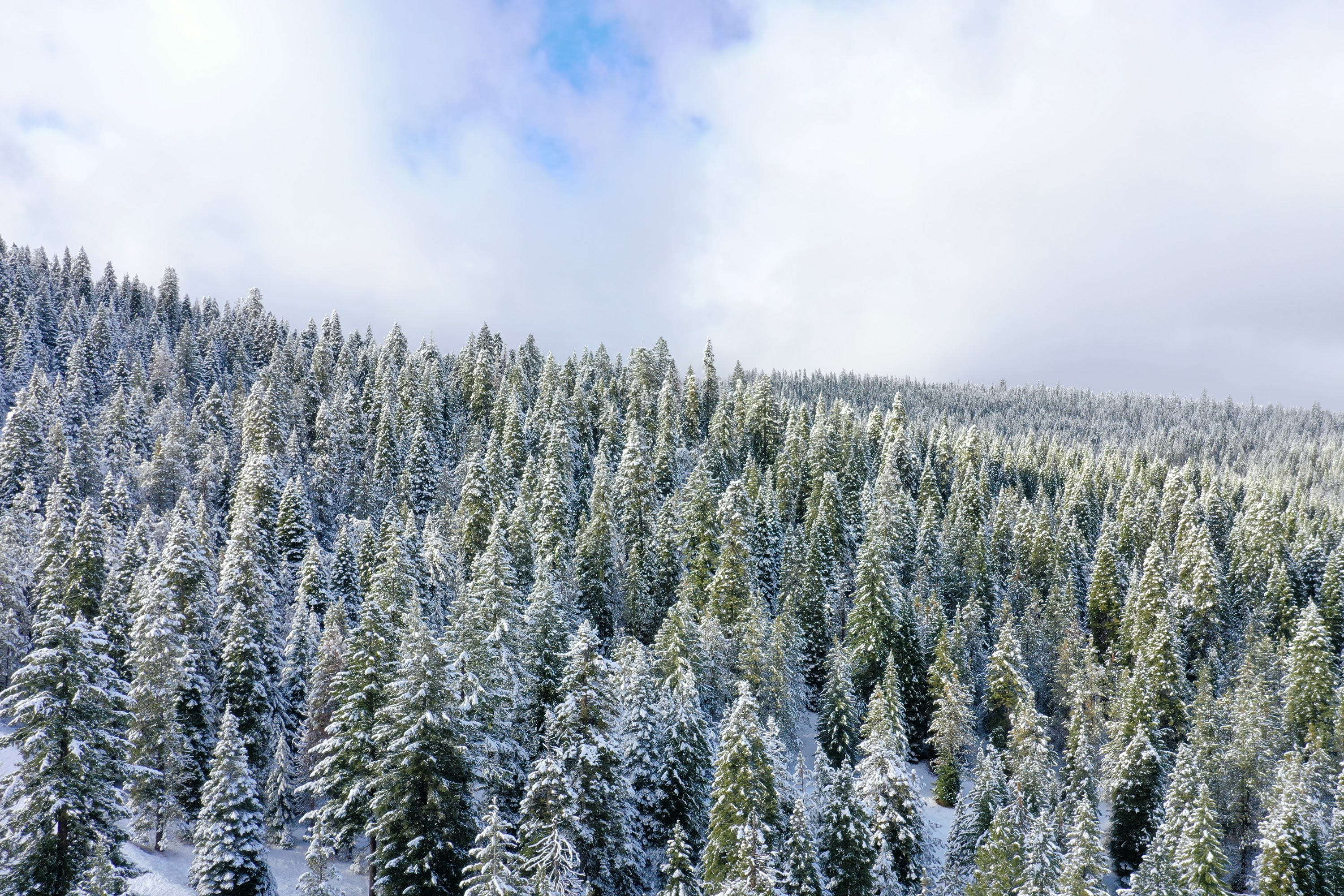 DJI_0564.JPG