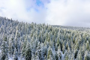 DJI_0564.JPG