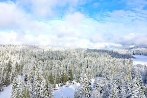 DJI_0565.JPG