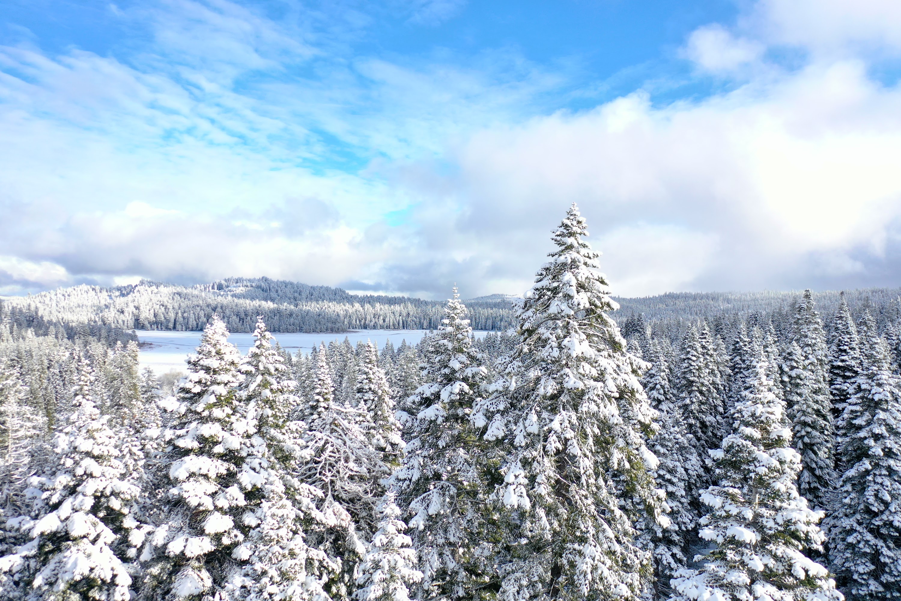 DJI_0568.JPG