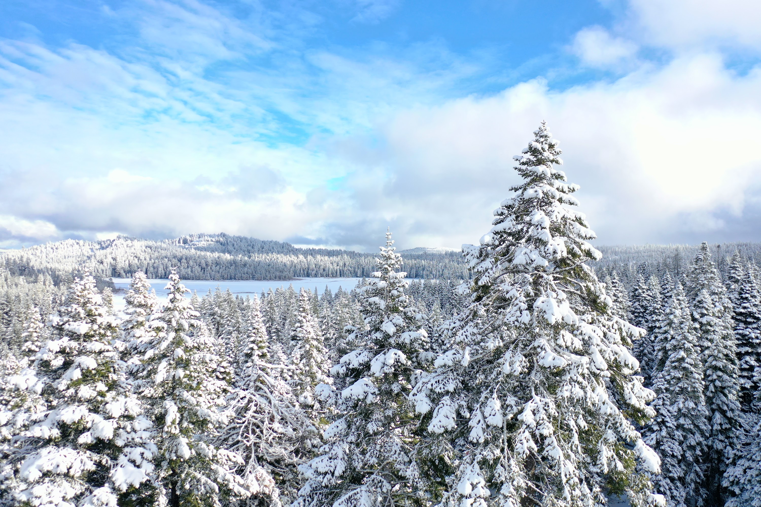 DJI_0569.JPG