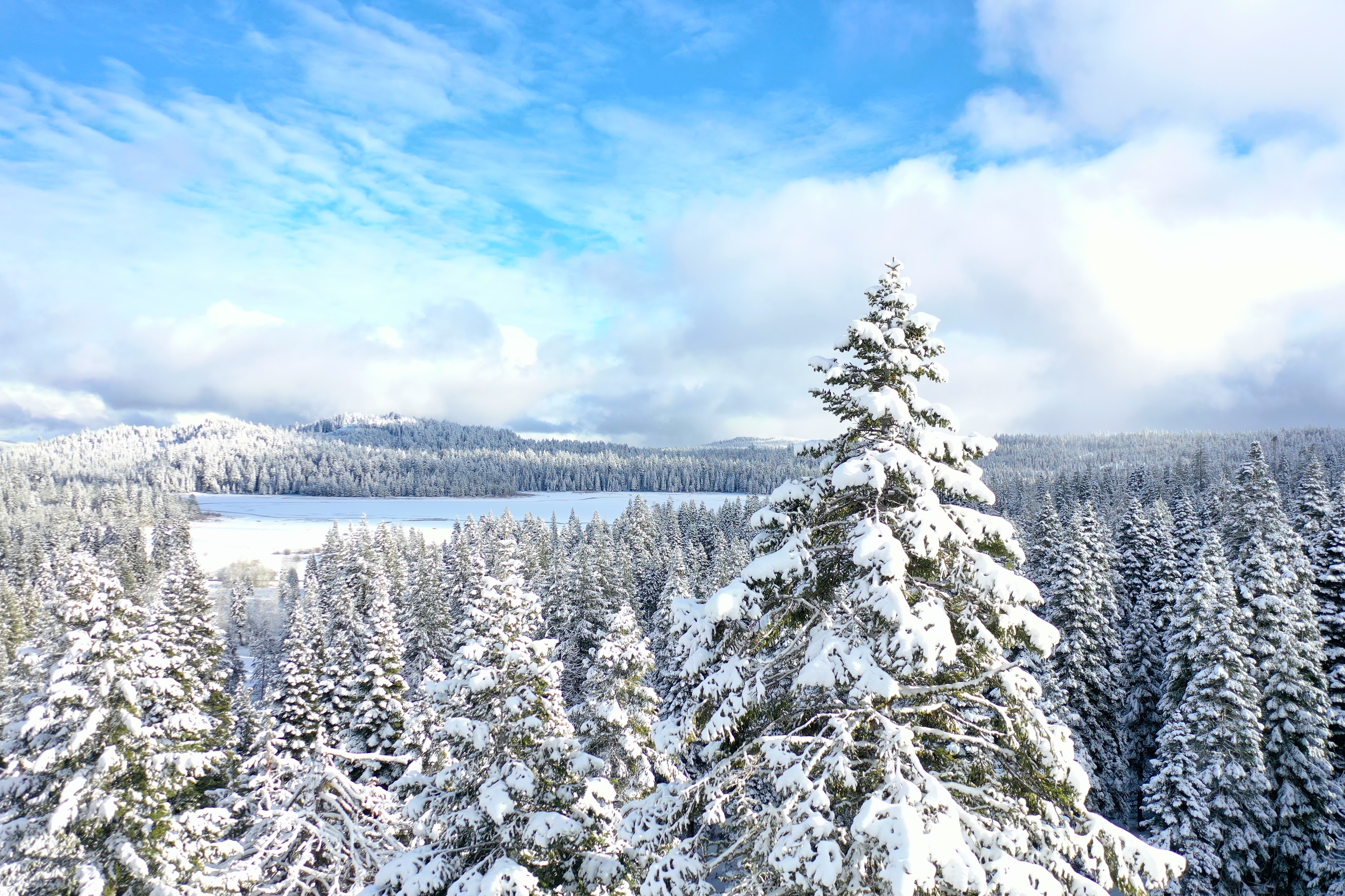 DJI_0571.JPG