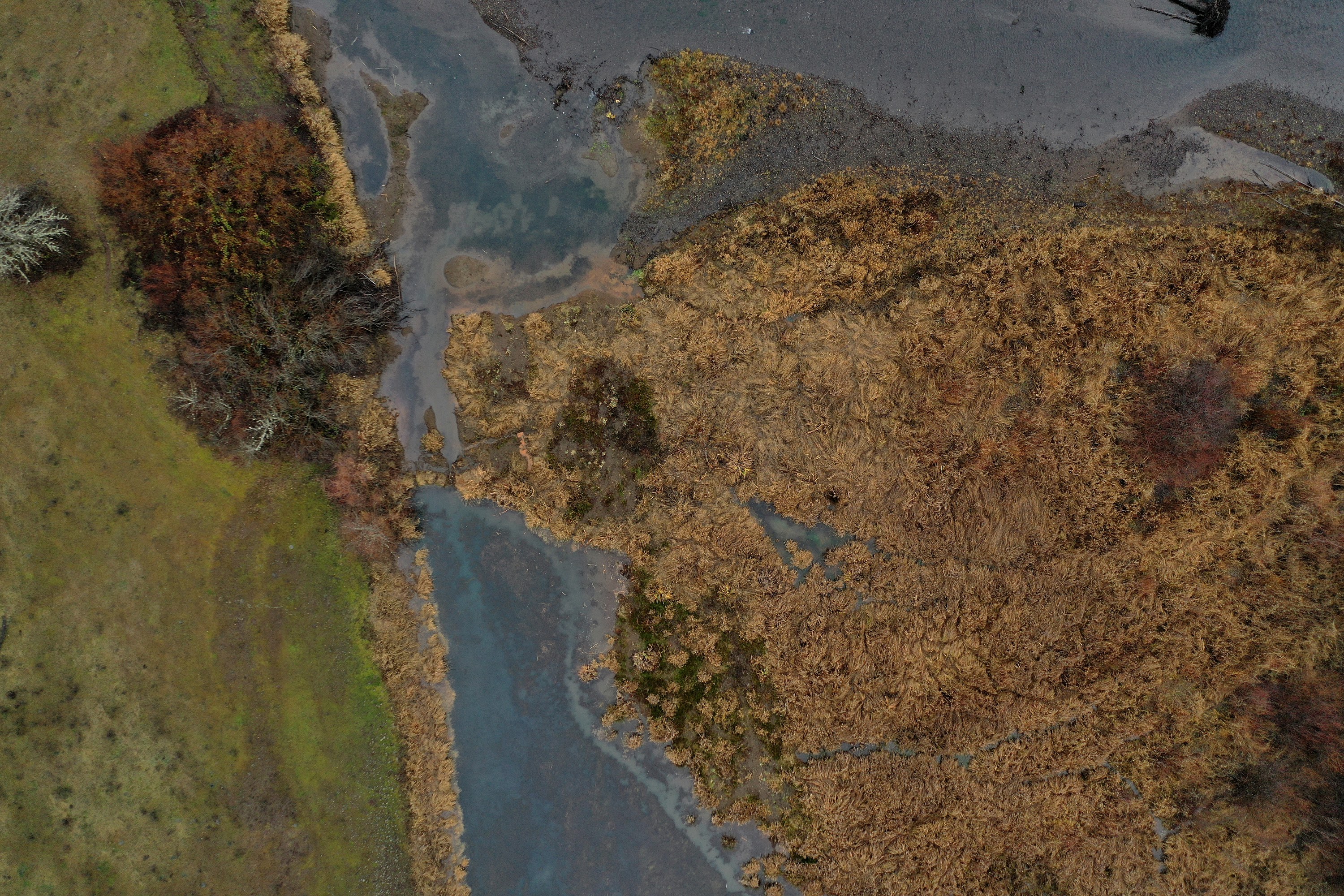 DJI_0584.JPG