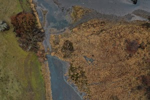 DJI_0584.JPG