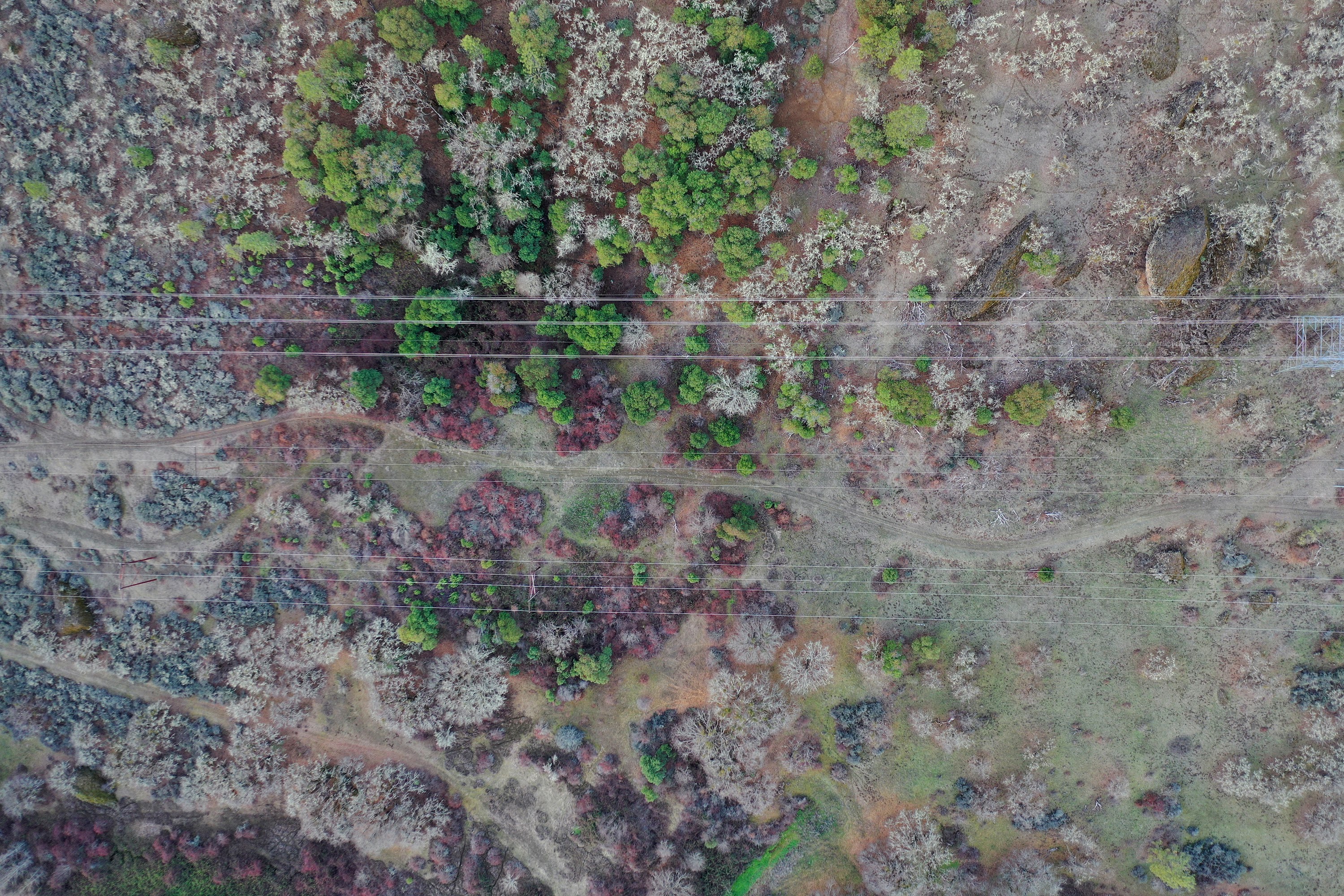 DJI_0602.JPG