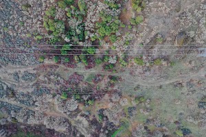 DJI_0602.JPG