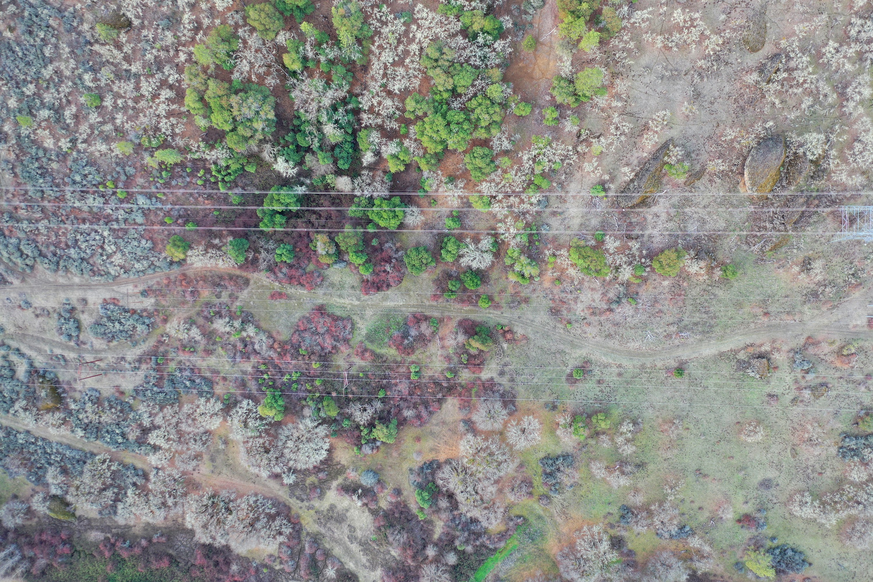 DJI_0603.JPG
