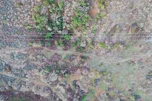 DJI_0603.JPG