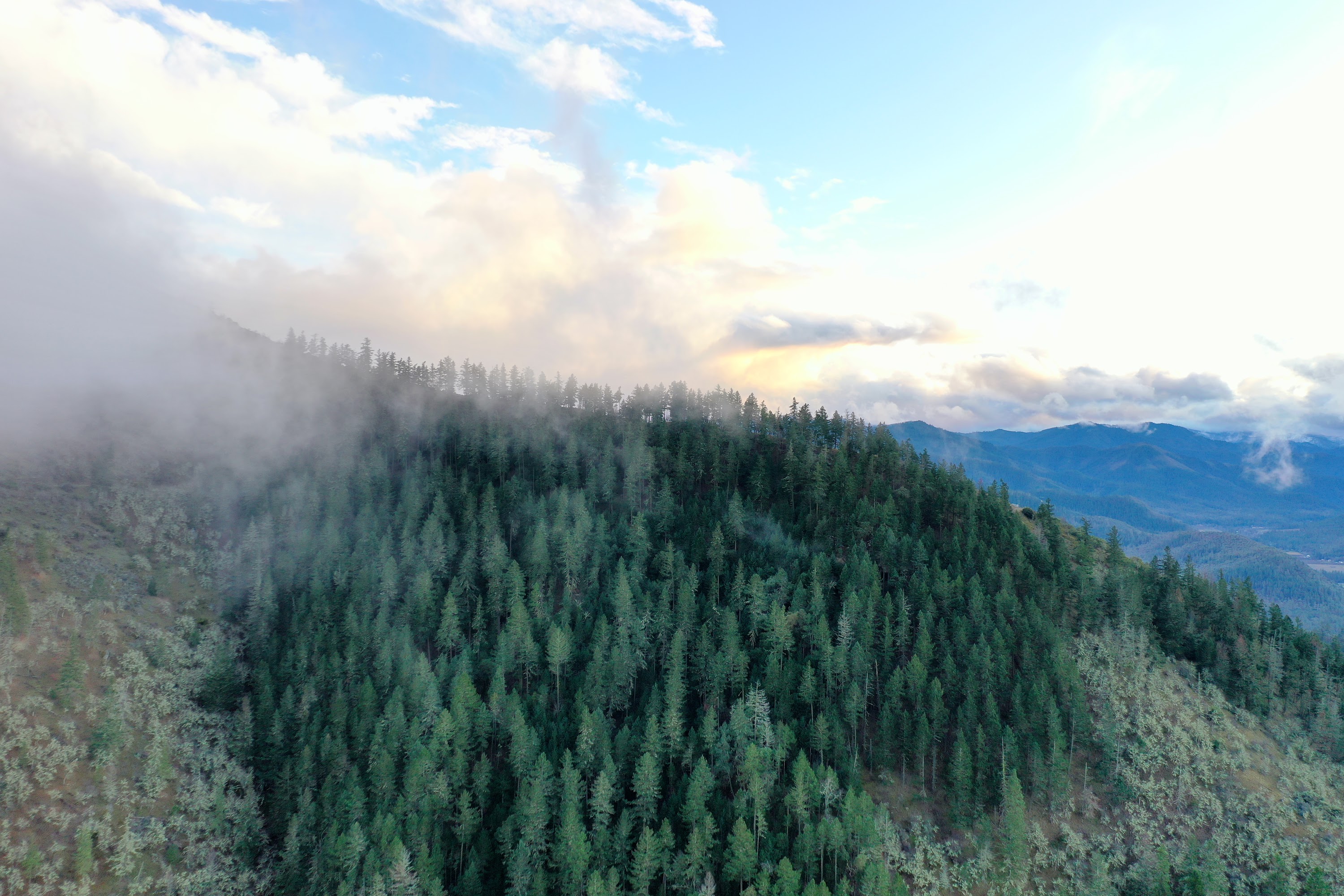 DJI_0633.JPG