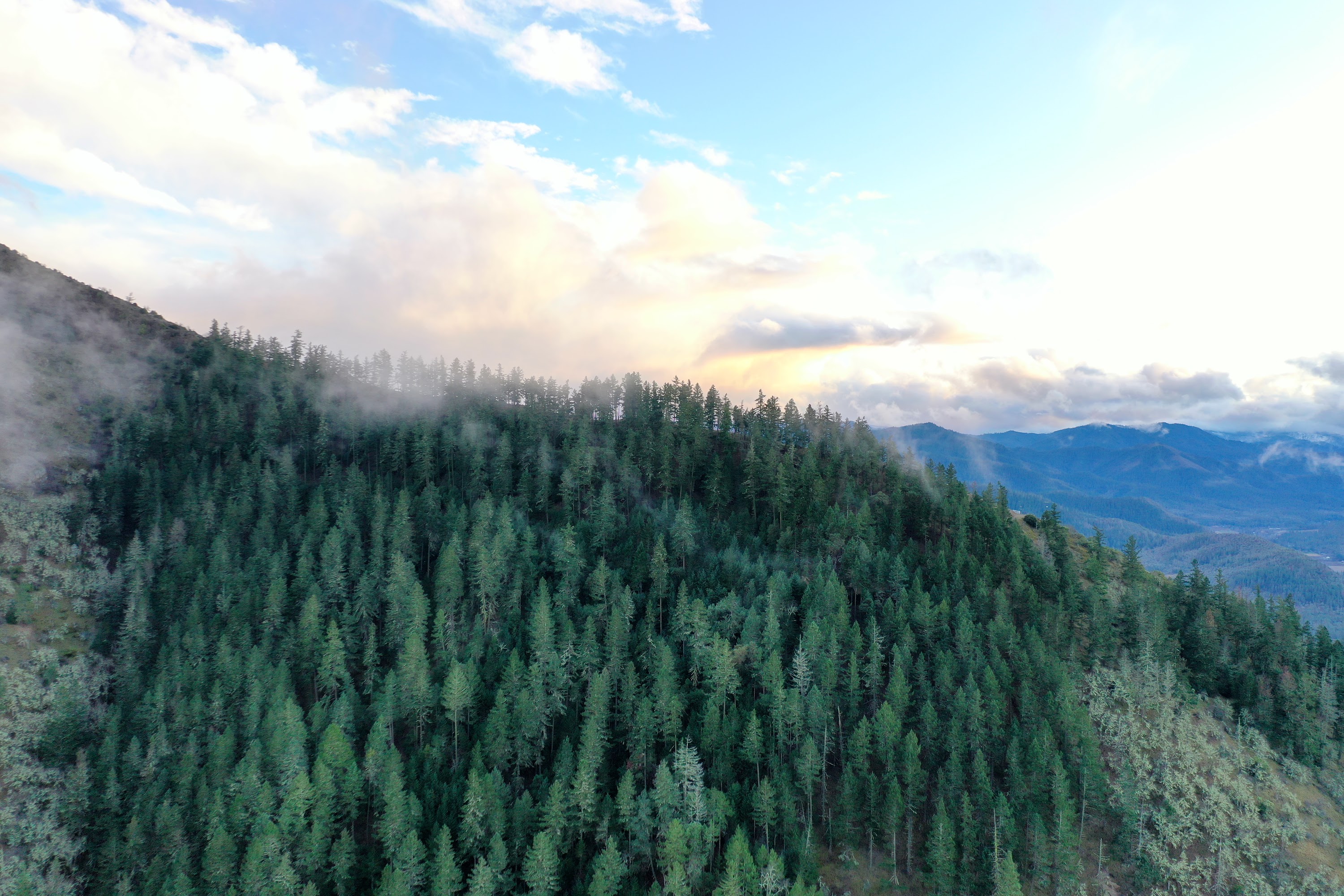 DJI_0635.JPG