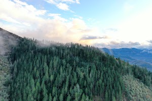 DJI_0635.JPG