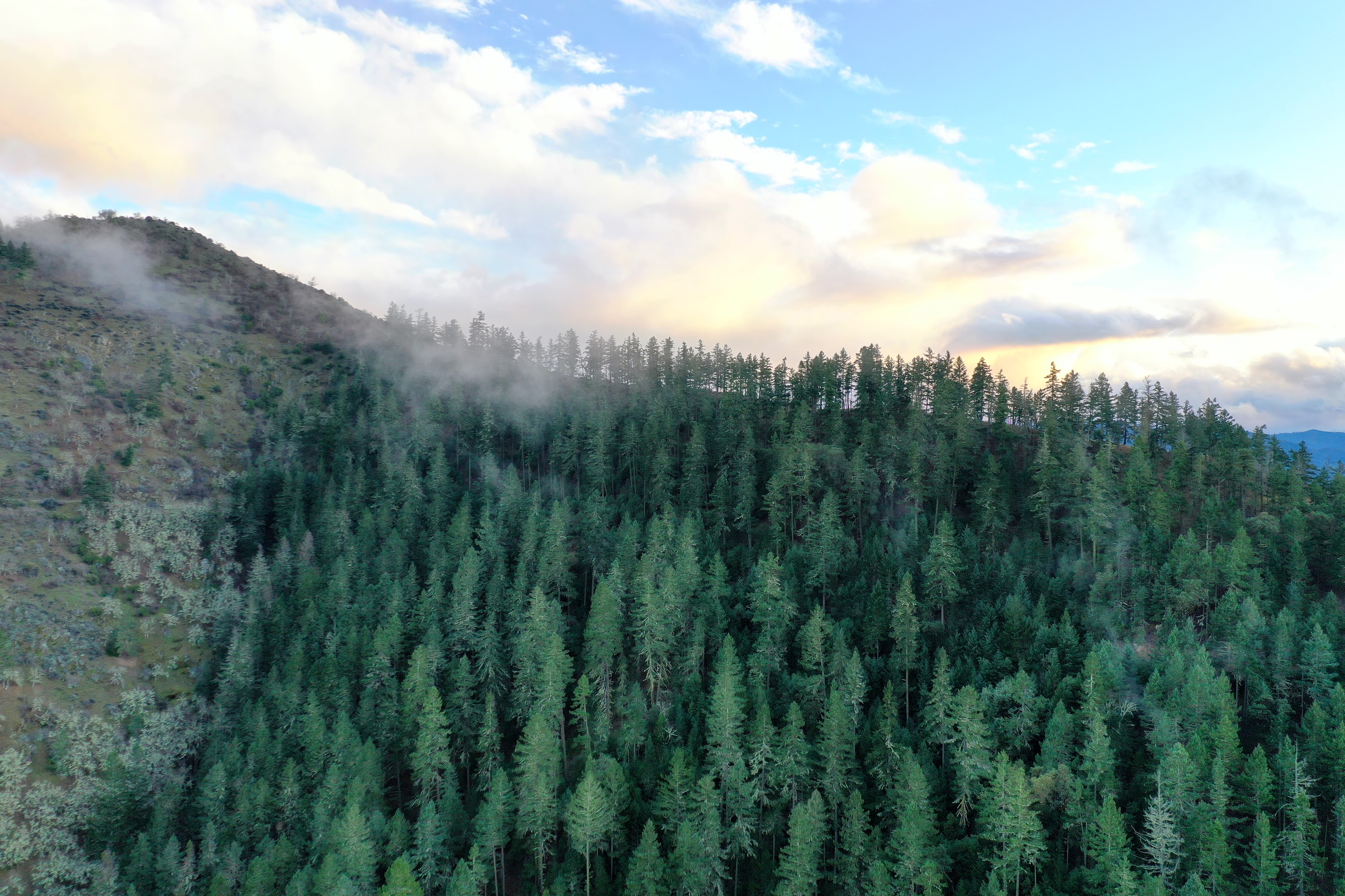 DJI_0638.JPG