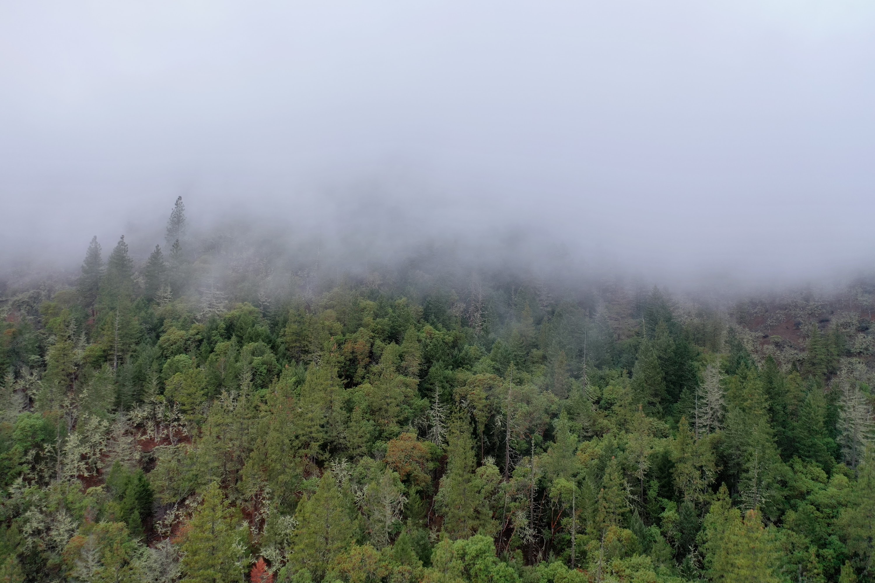 DJI_0654.JPG