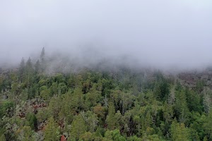 DJI_0654.JPG