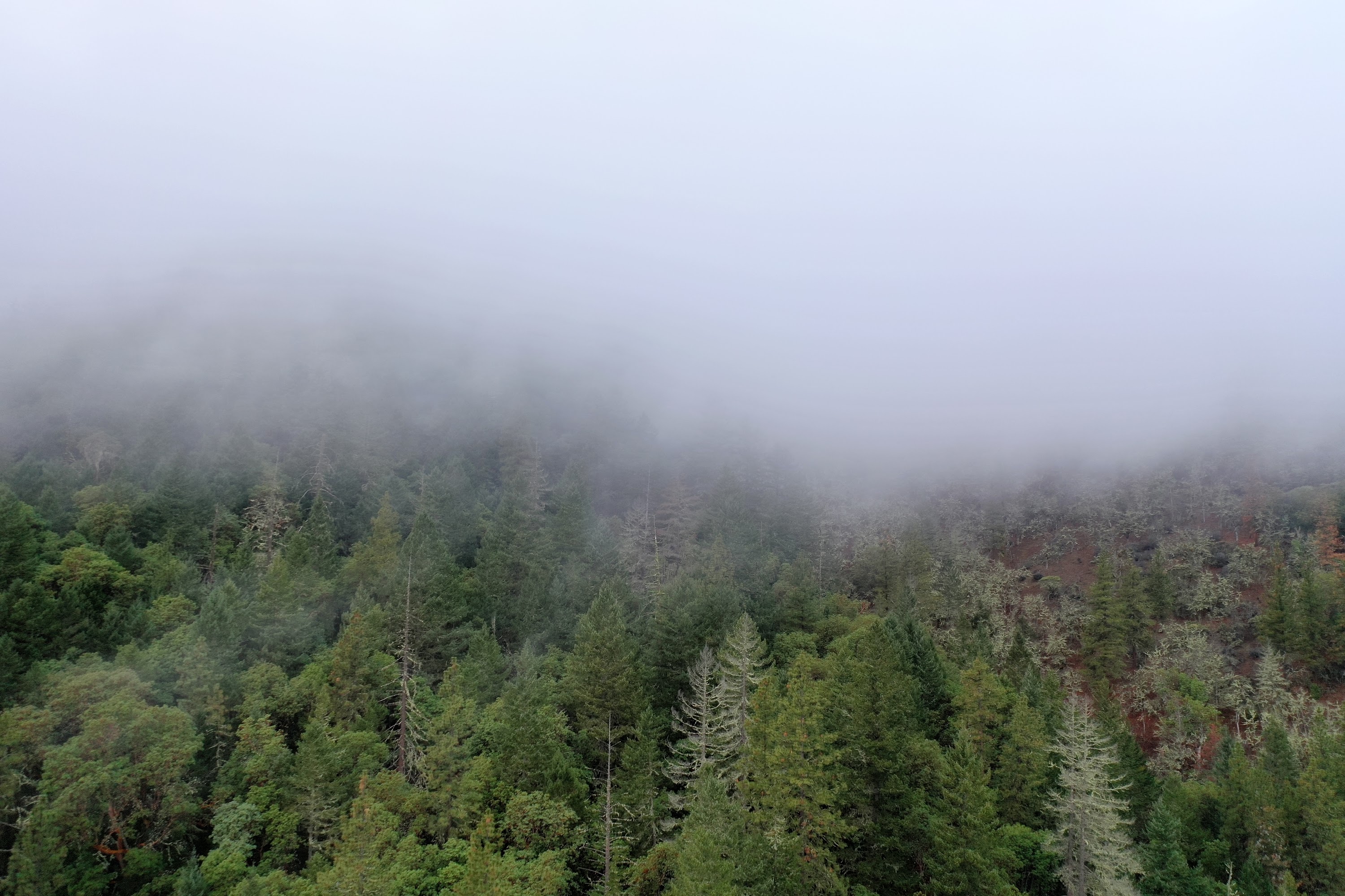 DJI_0655.JPG
