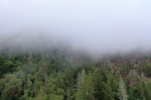 DJI_0655.JPG