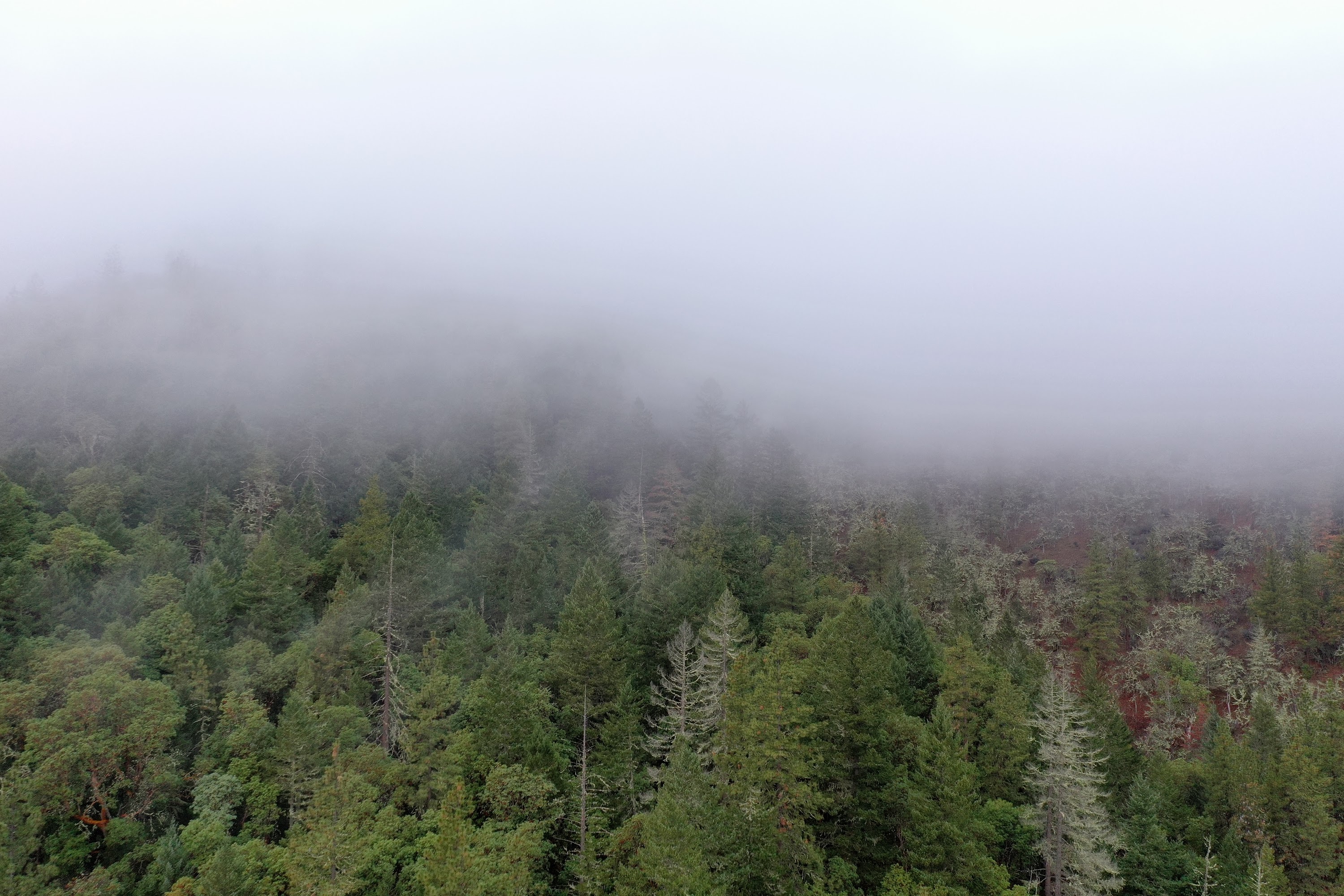 DJI_0656.JPG