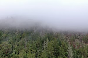 DJI_0656.JPG