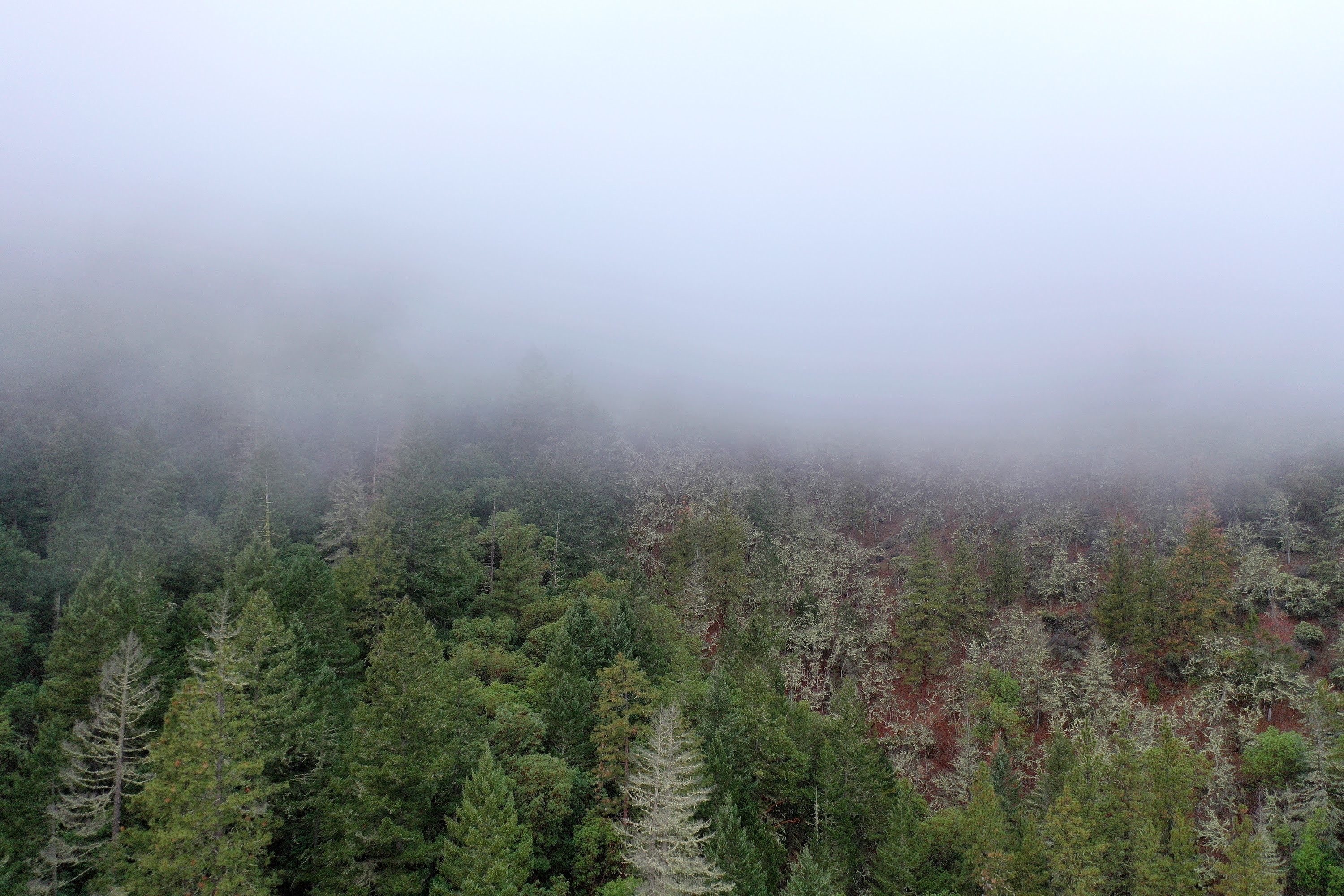 DJI_0657.JPG