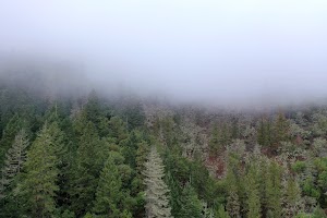 DJI_0658.JPG