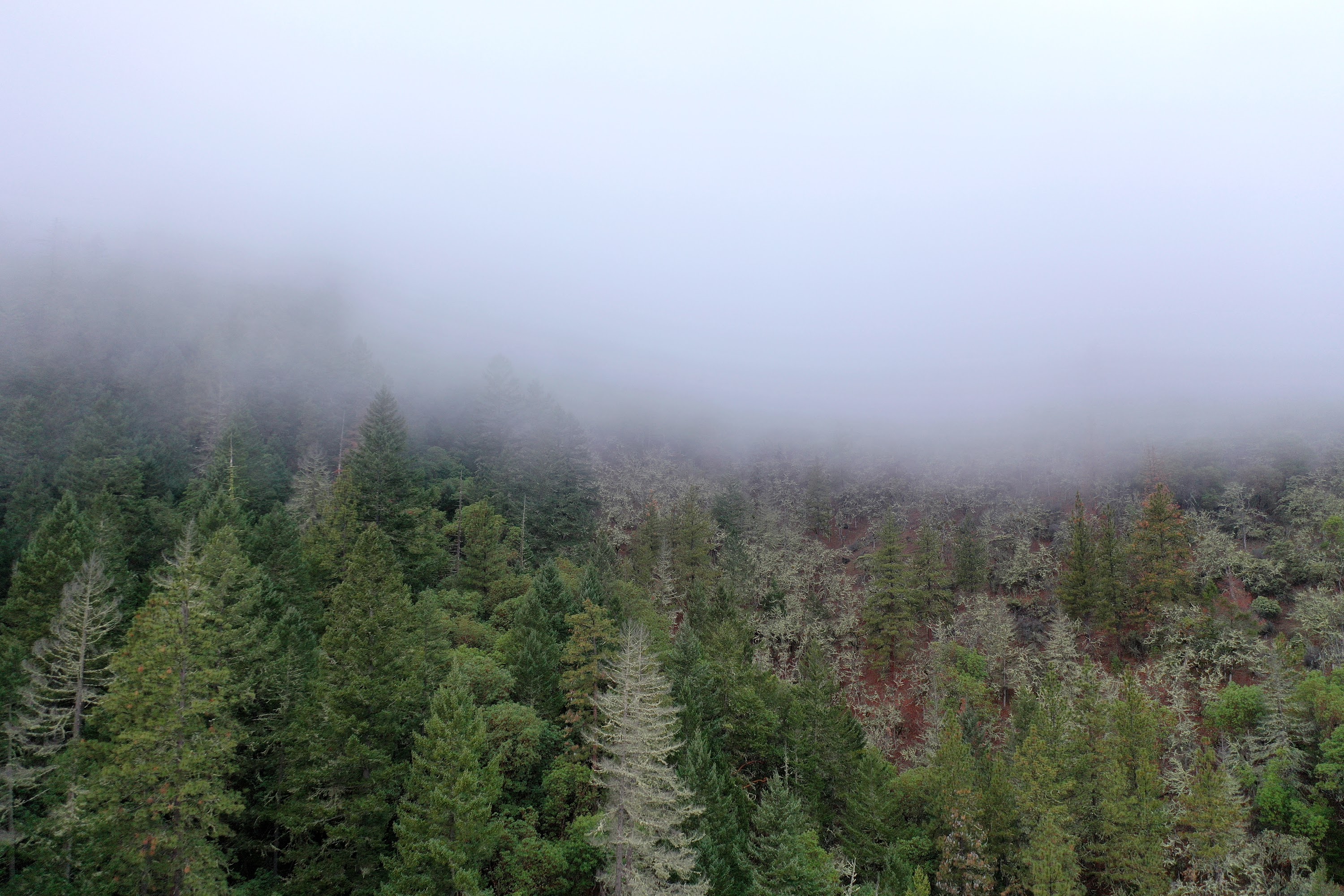 DJI_0659.JPG