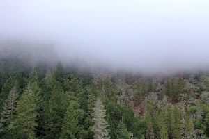 DJI_0659.JPG