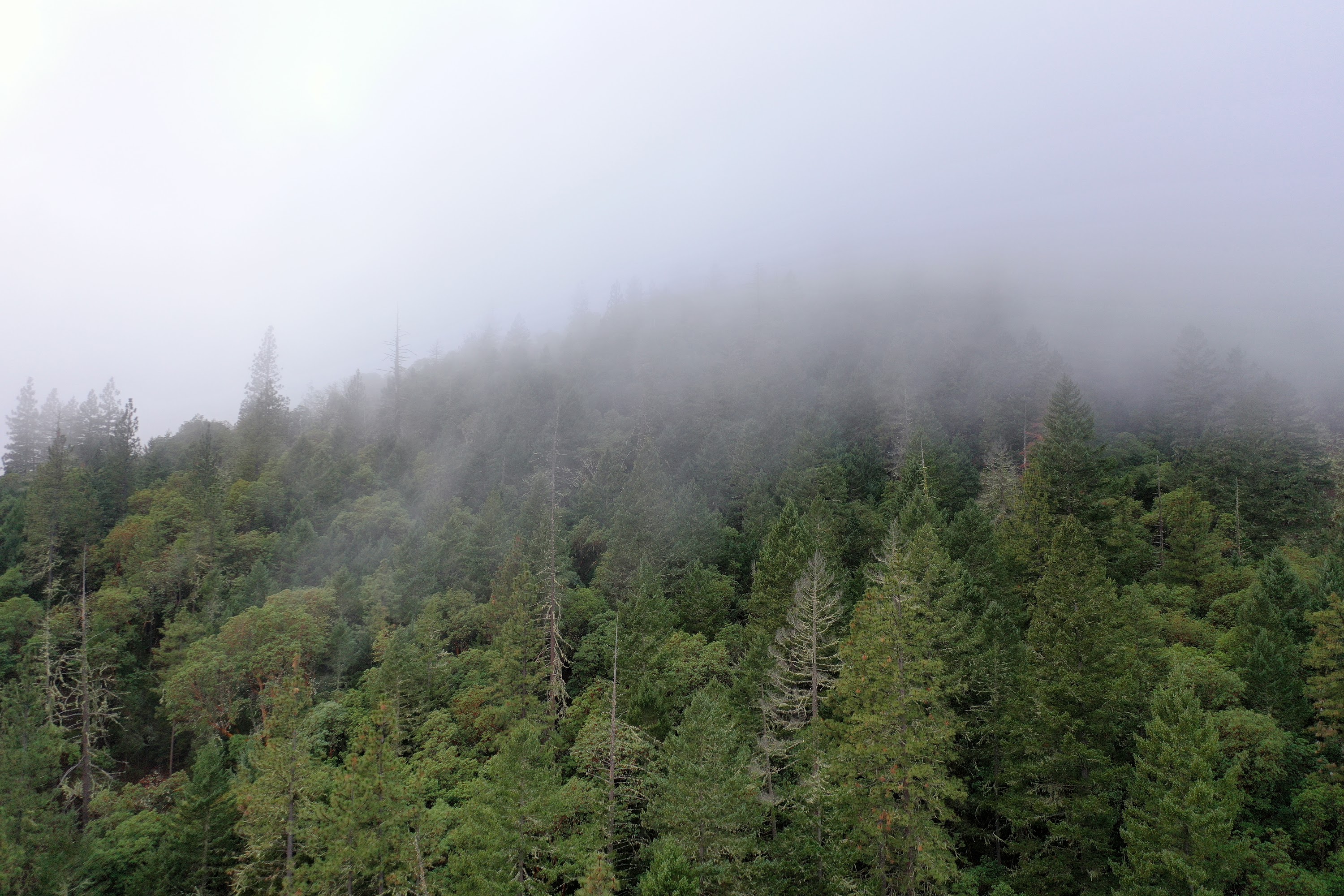DJI_0660.JPG