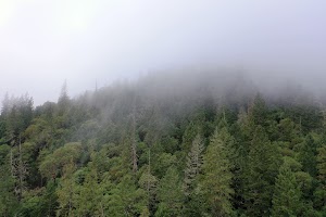 DJI_0660.JPG