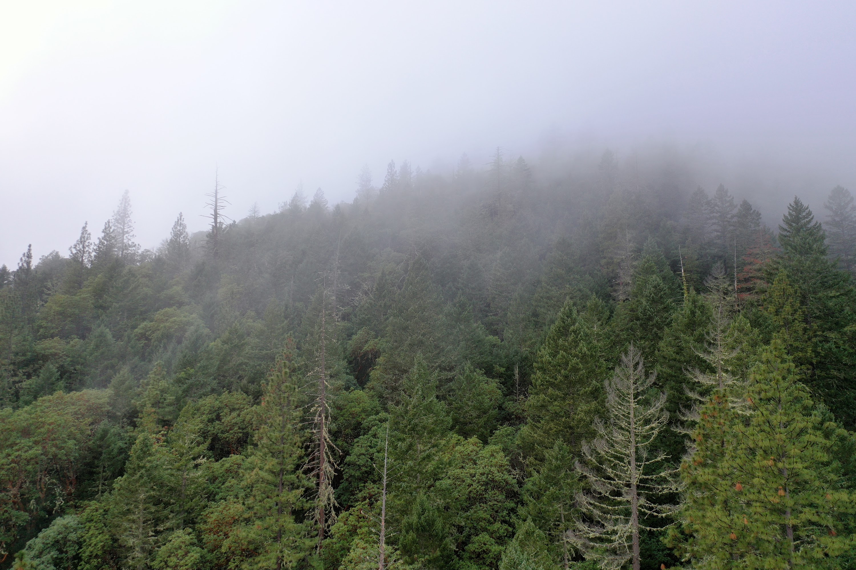 DJI_0661.JPG