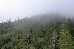 DJI_0661.JPG