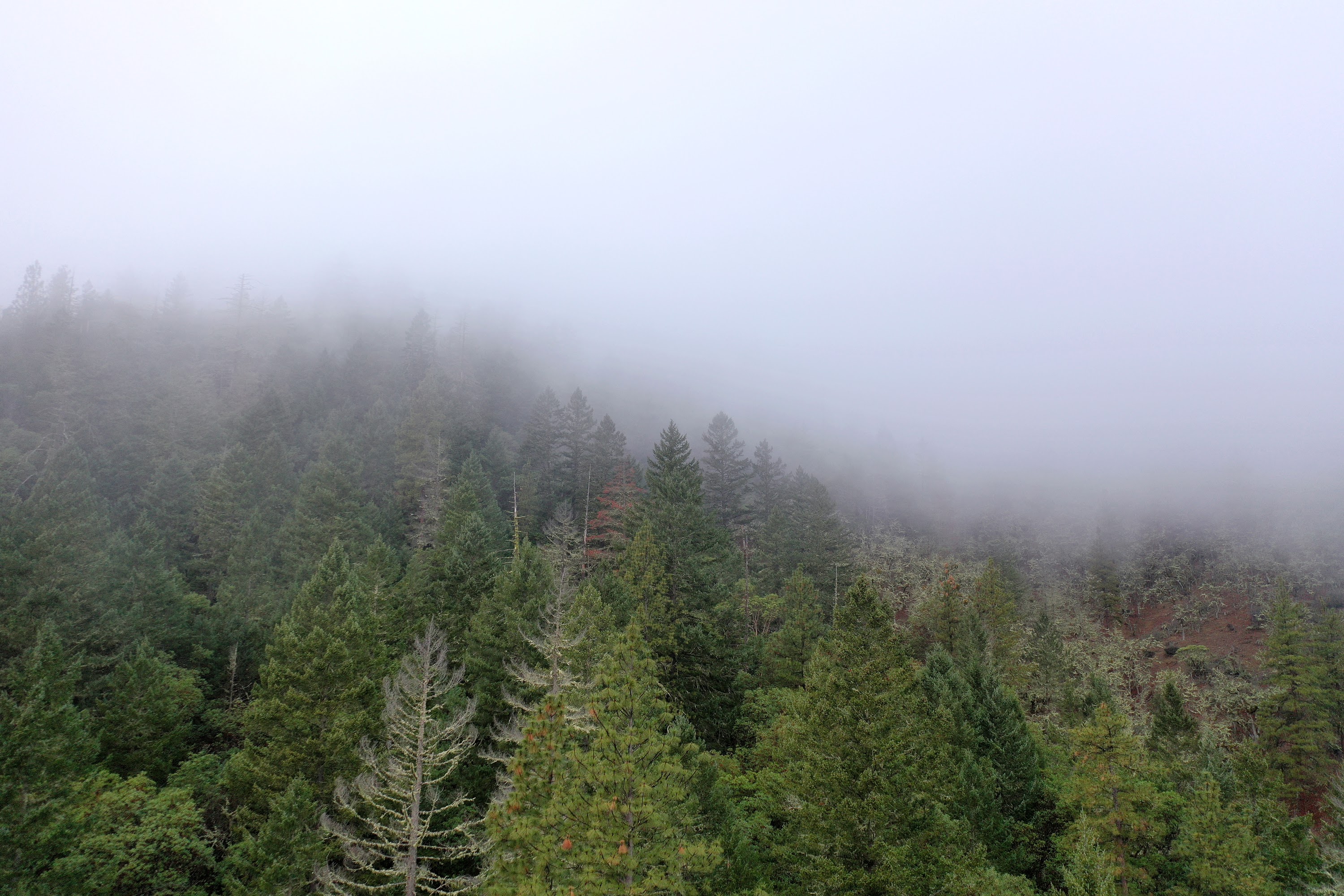 DJI_0662.JPG