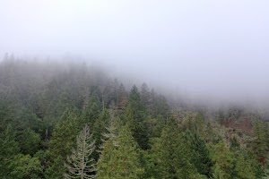 DJI_0662.JPG