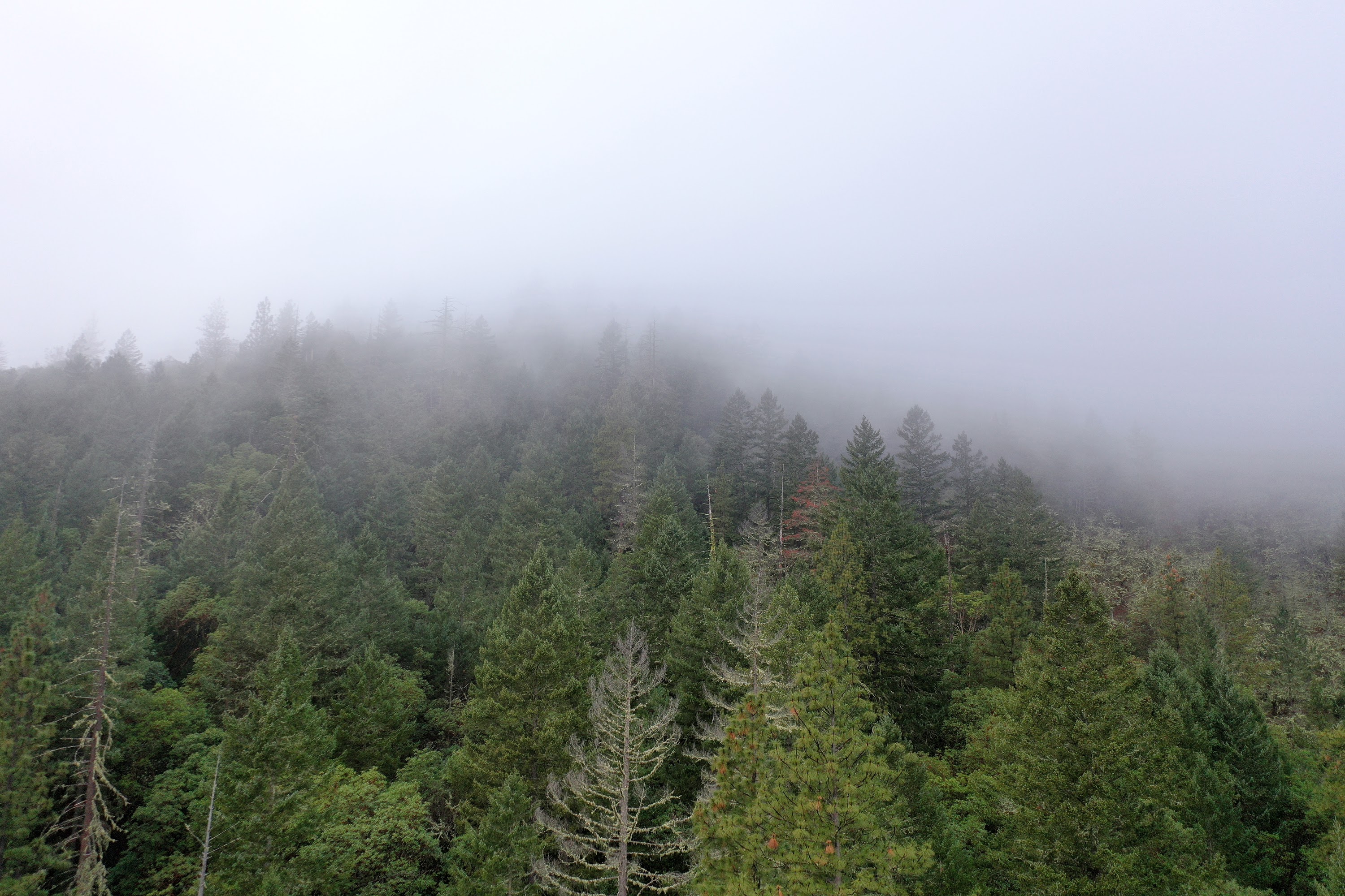 DJI_0663.JPG