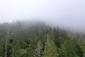 DJI_0663.JPG