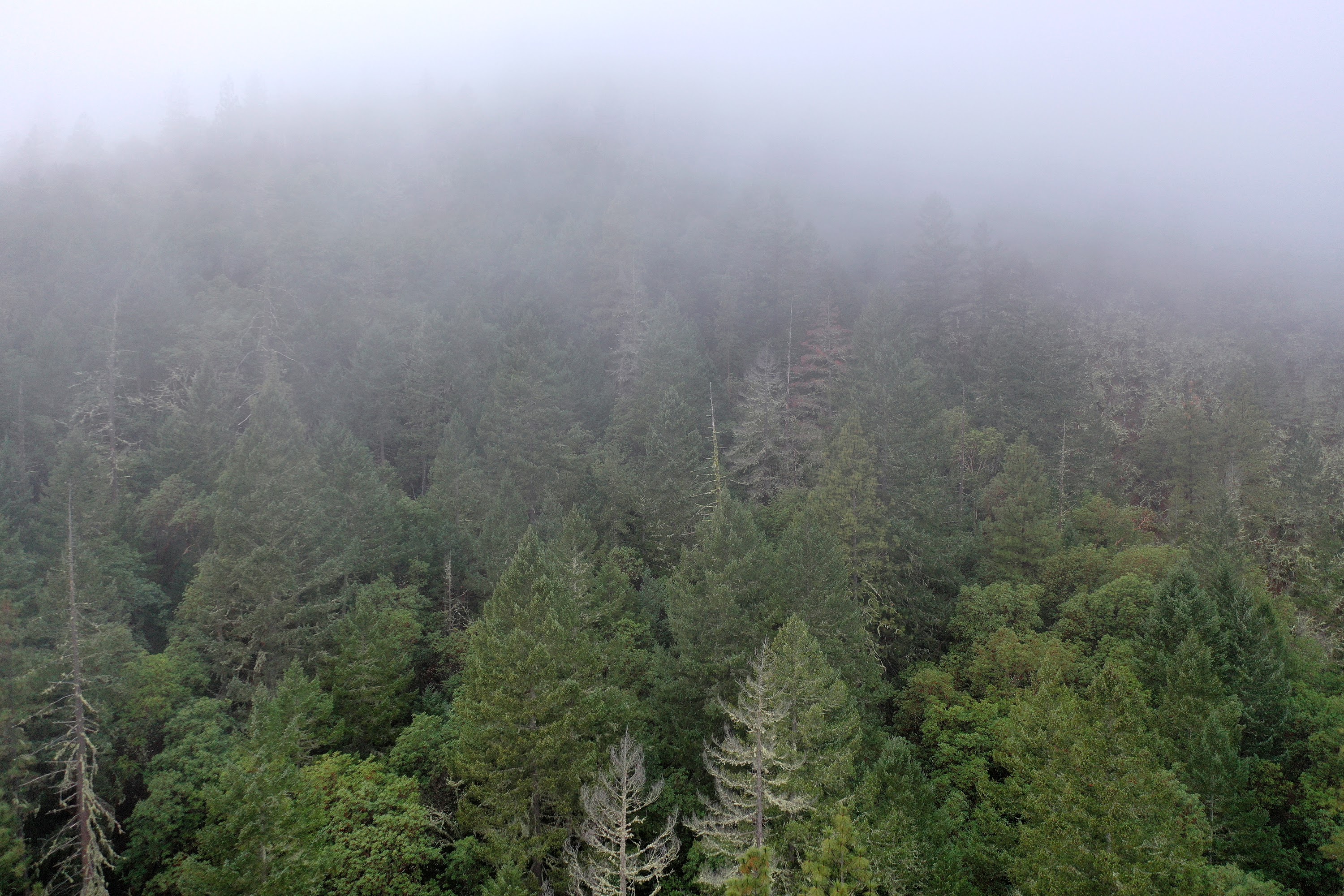 DJI_0664.JPG