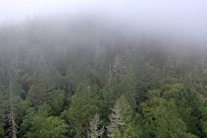 DJI_0664.JPG