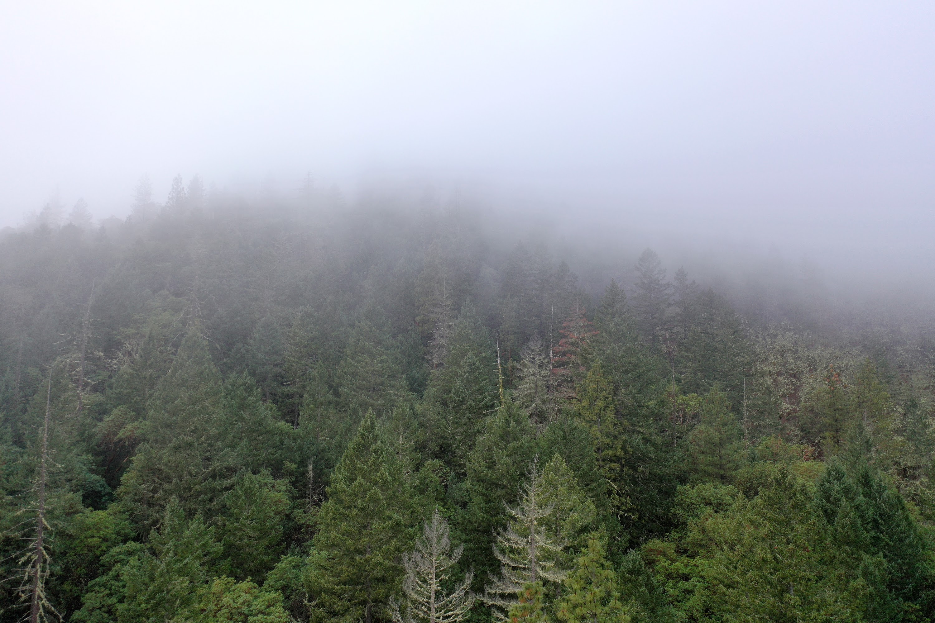 DJI_0665.JPG