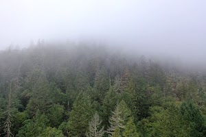 DJI_0665.JPG