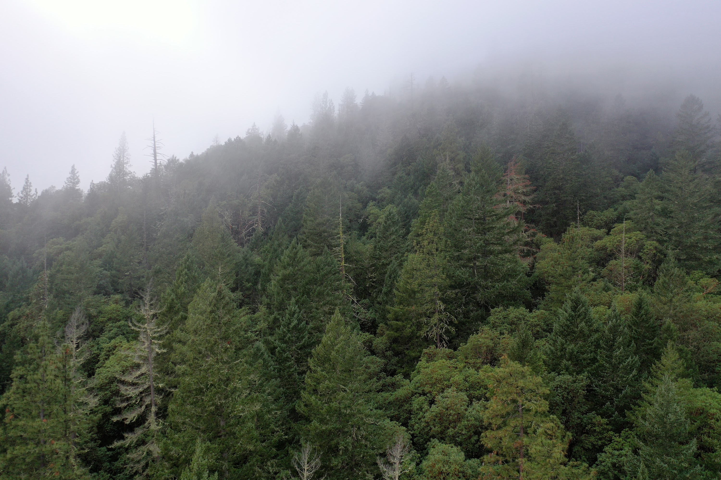 DJI_0666.JPG