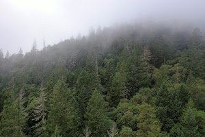 DJI_0666.JPG