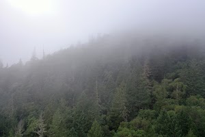 DJI_0667.JPG