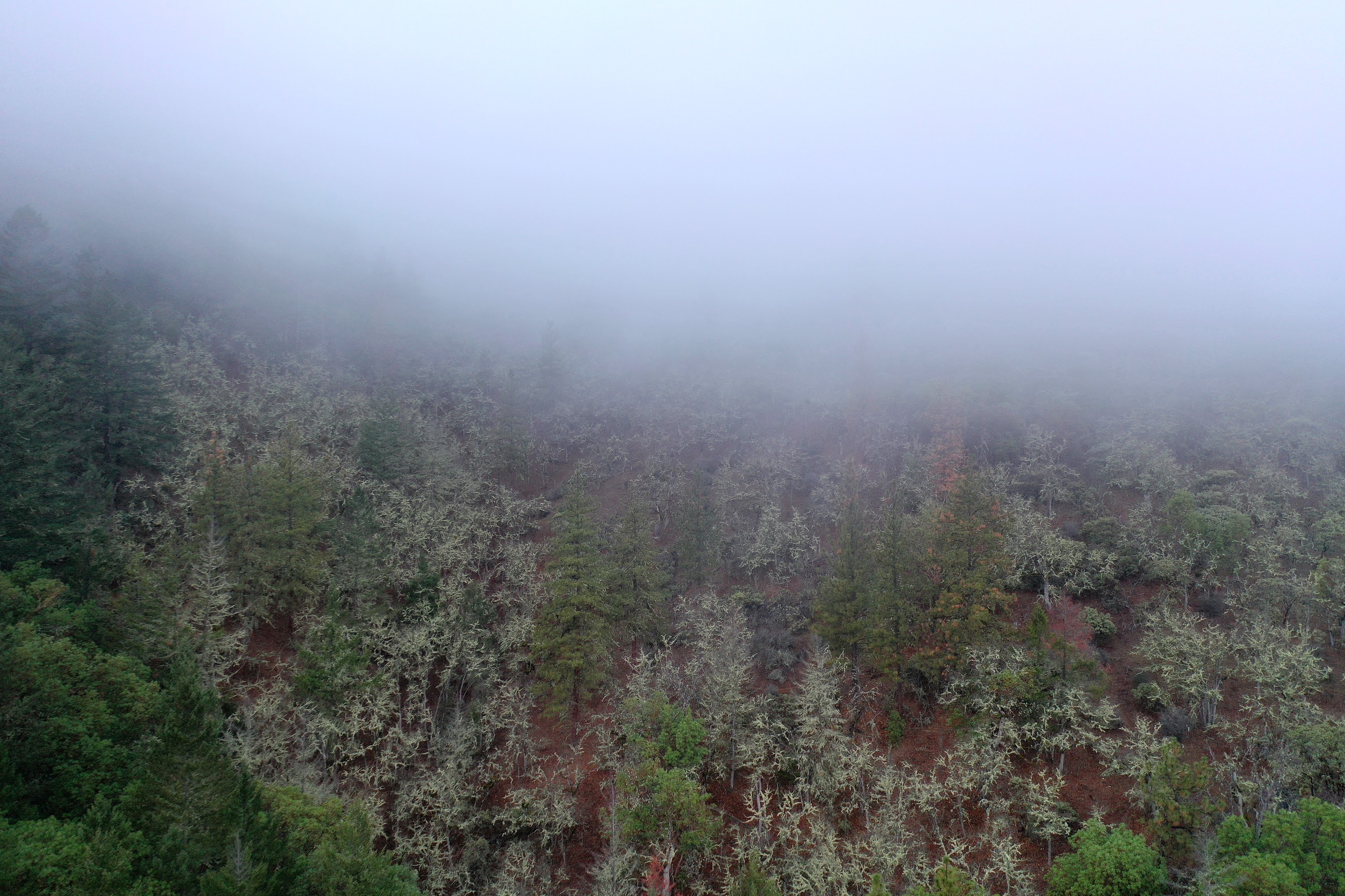 DJI_0668.JPG
