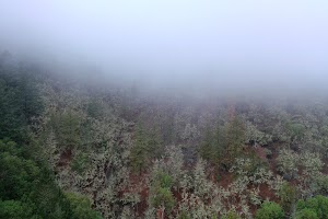 DJI_0668.JPG