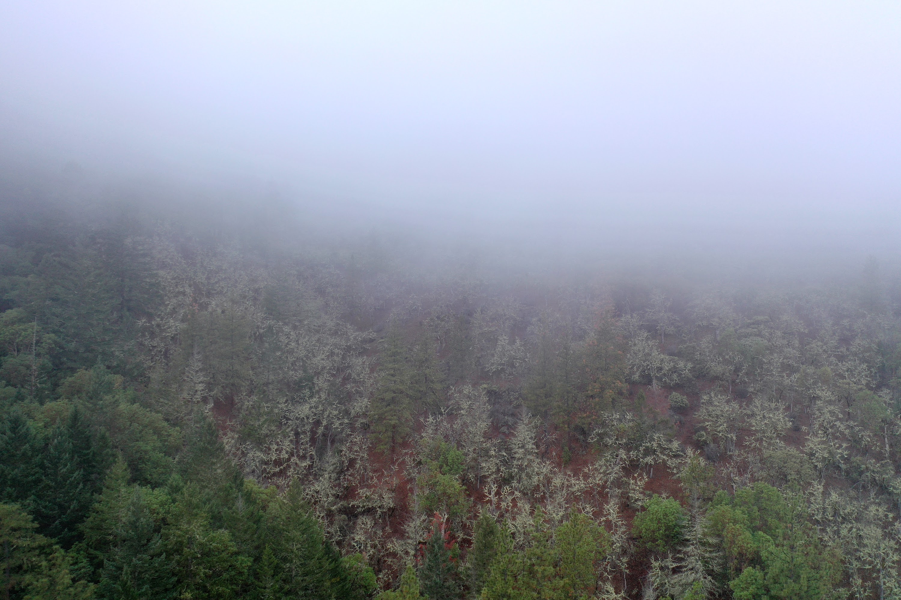 DJI_0669.JPG