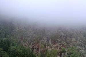 DJI_0669.JPG
