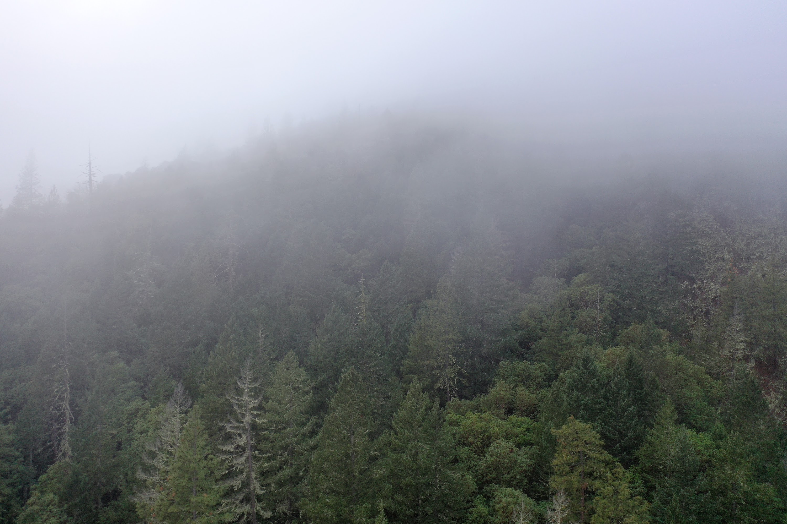DJI_0670.JPG